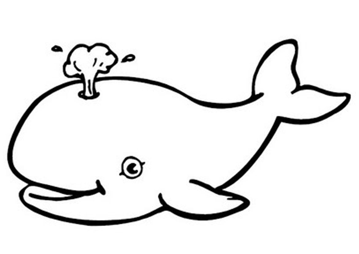 Animal Coloring Pages Whale