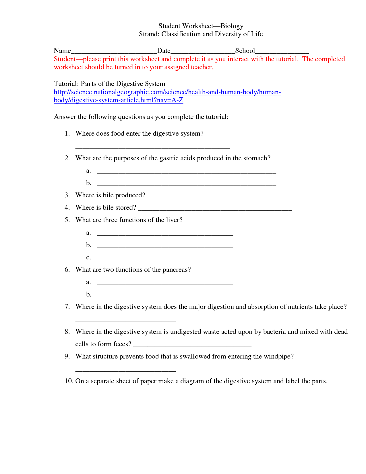 15-best-images-of-classification-worksheets-for-middle-school-animal-classification-worksheet