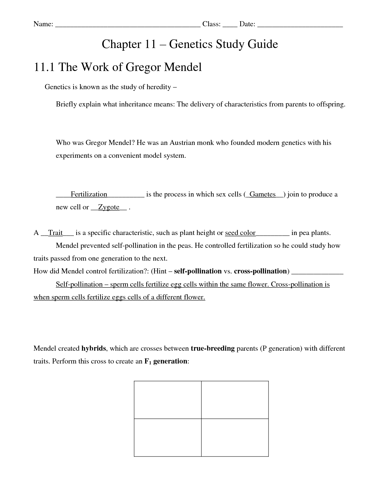 6-best-images-of-speed-and-velocity-worksheets-with-answers-speed-and-velocity-worksheets