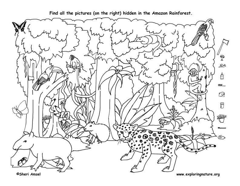 11 Best Images of Easy Hidden Picture Worksheets - Find Hidden Objects