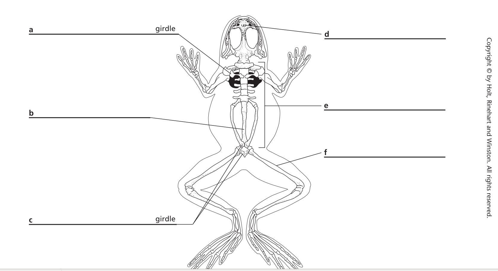 15 Best Images of Anatomy On Human Eye Worksheet - Human Eye Diagram