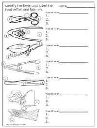 Levers and Simple Machines Worksheet