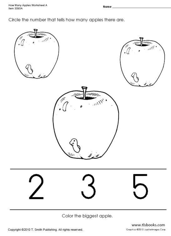10 Best Images of Apple Worksheets Grade 1 - Apple Tree Seasons