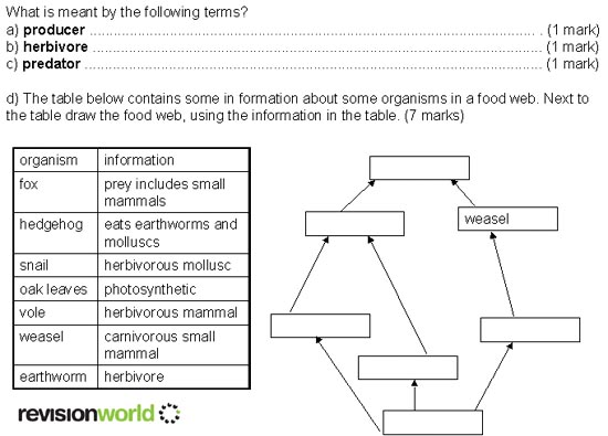 Food Web Worksheet Questions