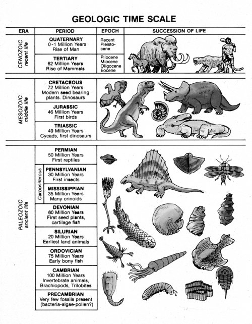 Geologic Time Scale Chart
