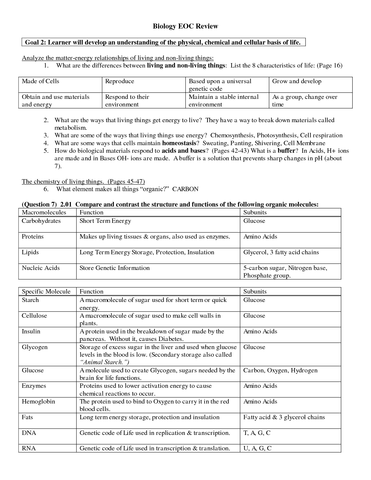 15-best-images-of-macromolecules-worksheet-2-answers-macromolecule-worksheet-answer-key