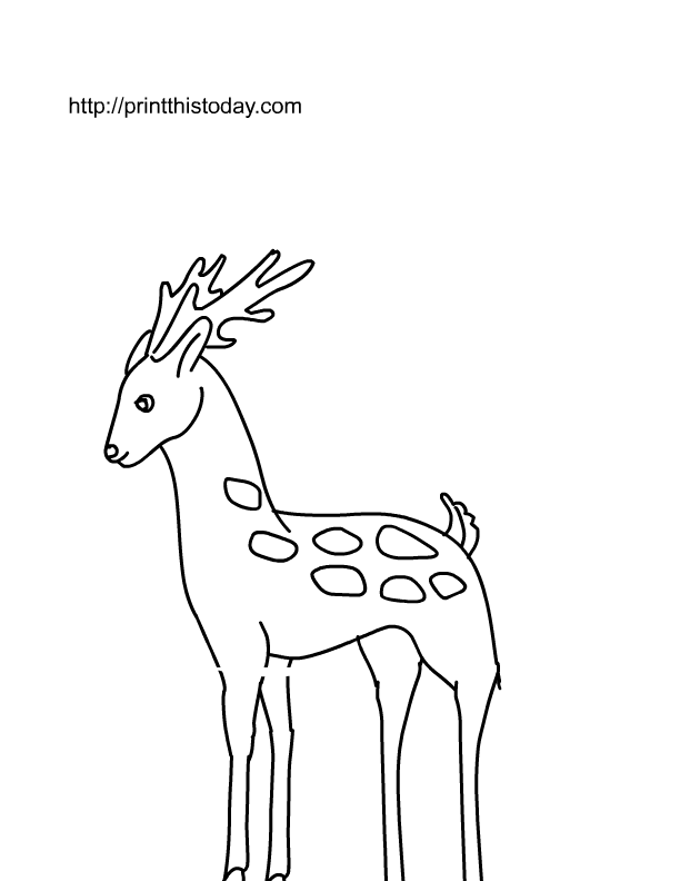 14 Best Images of Tall And Short Worksheets Preschool - Heavy and Light