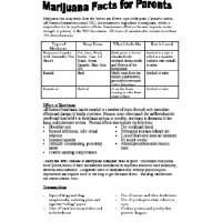 Marijuana Facts Worksheet