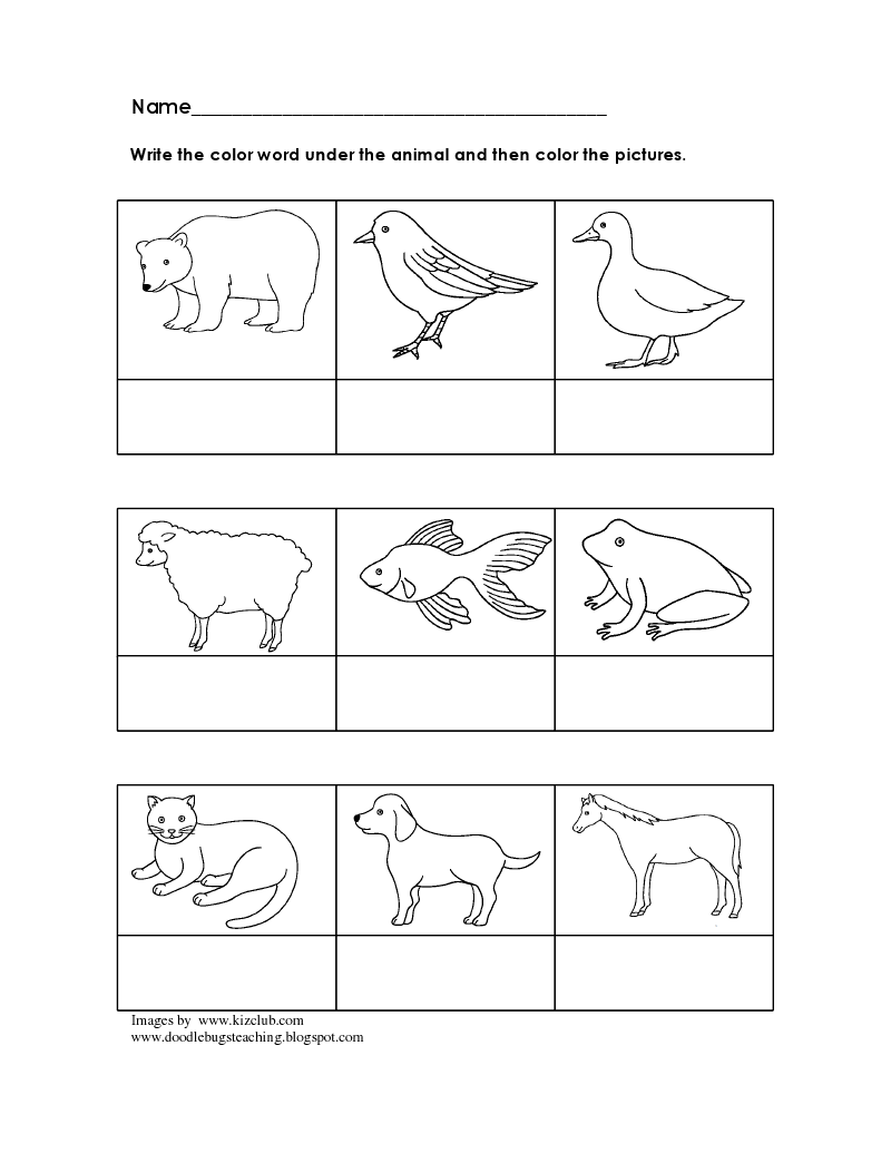16 Best Images of Eric Carle Worksheets For Preschool - Very Busy