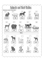 Baby and Adult Animals Worksheet