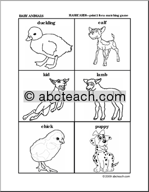 Baby Animals Preschool Theme