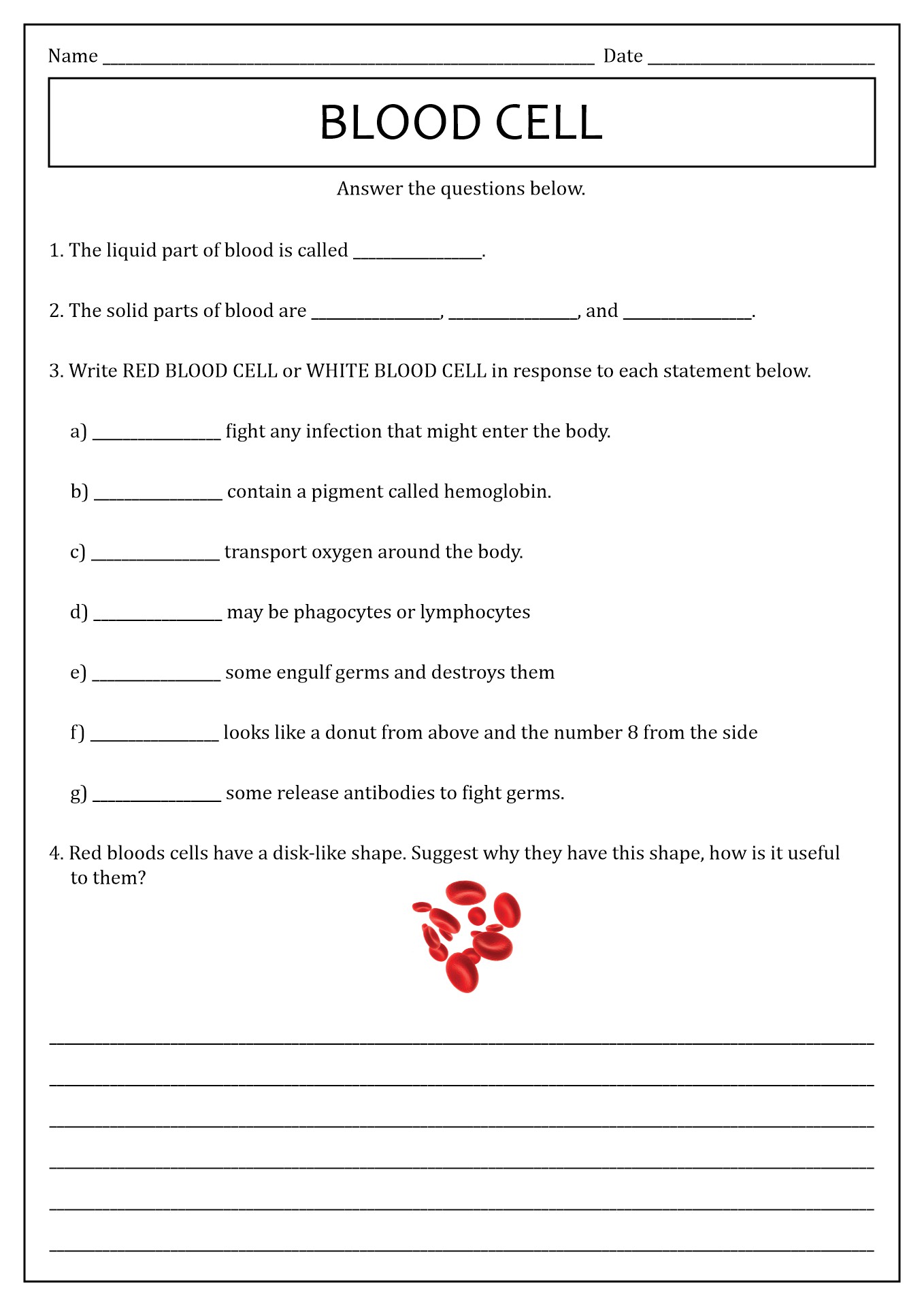 components-of-blood-worksheet-answers-first-wiring