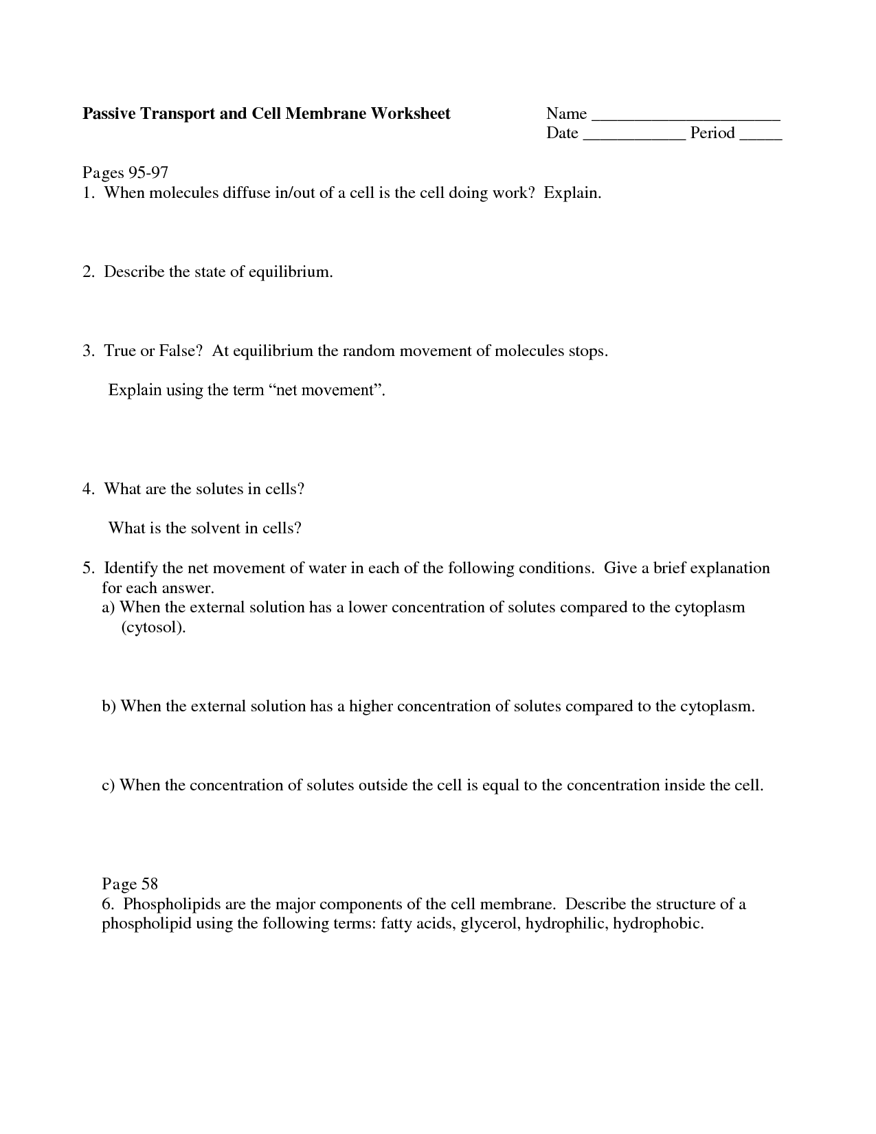 Cell Transport Review Worksheet Answers