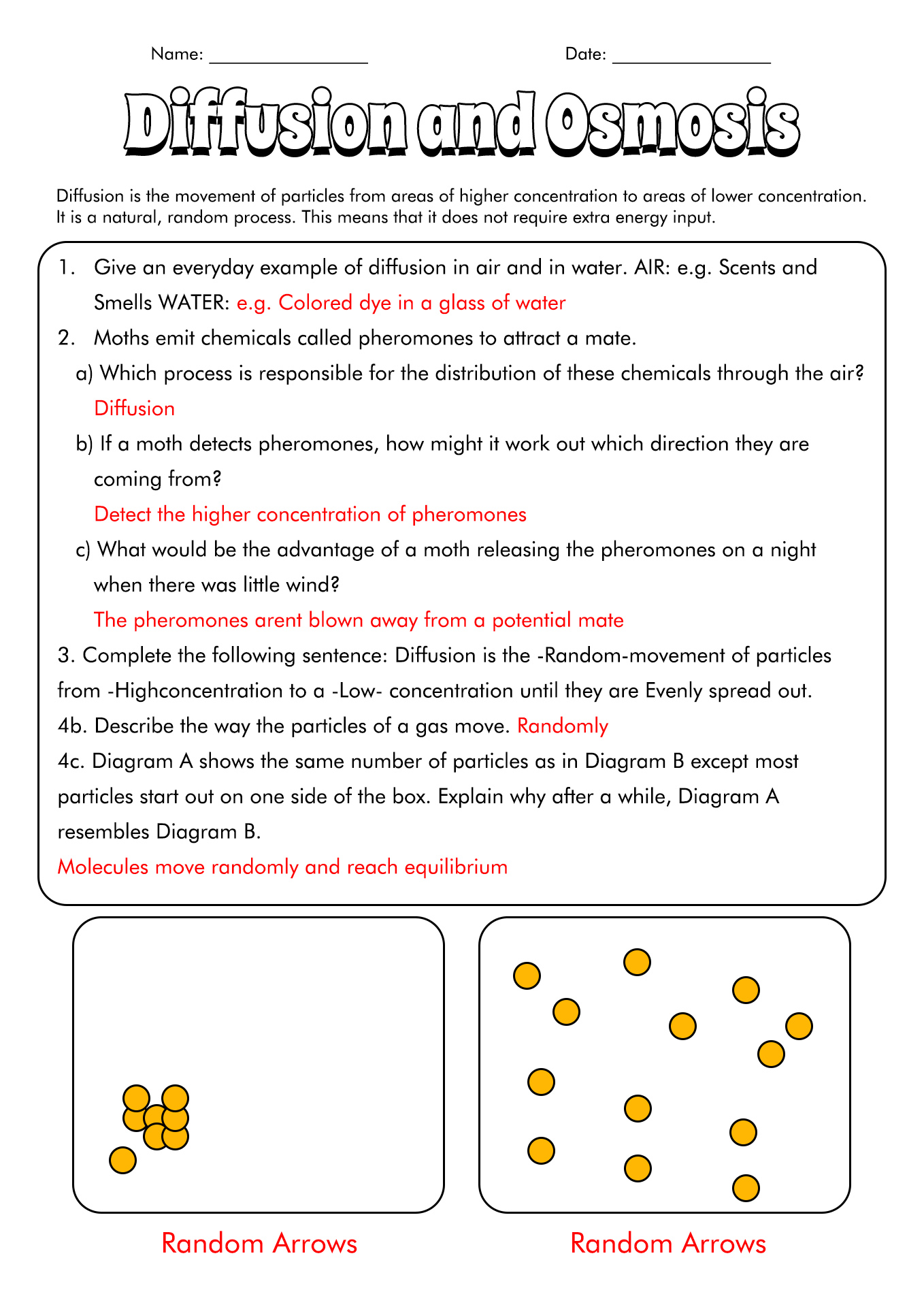 16 Best Images of Diffusion Osmosis Active Transport Worksheet  Cell Transport Diffusion and 