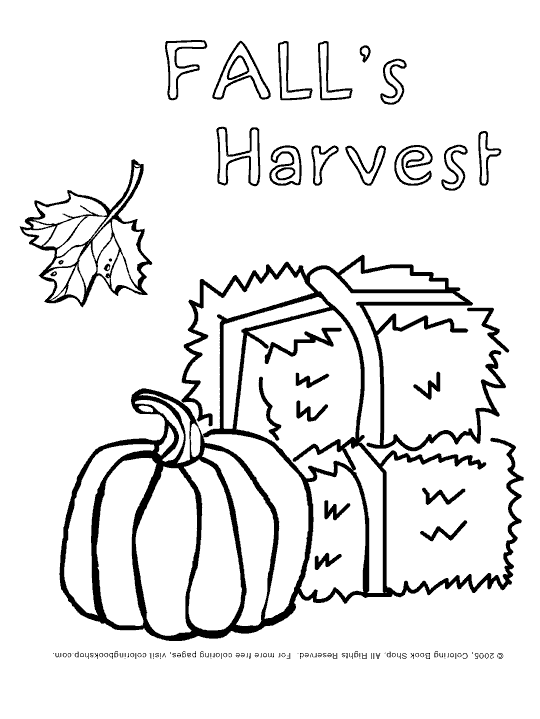 Fall Harvest Coloring Pages Printable