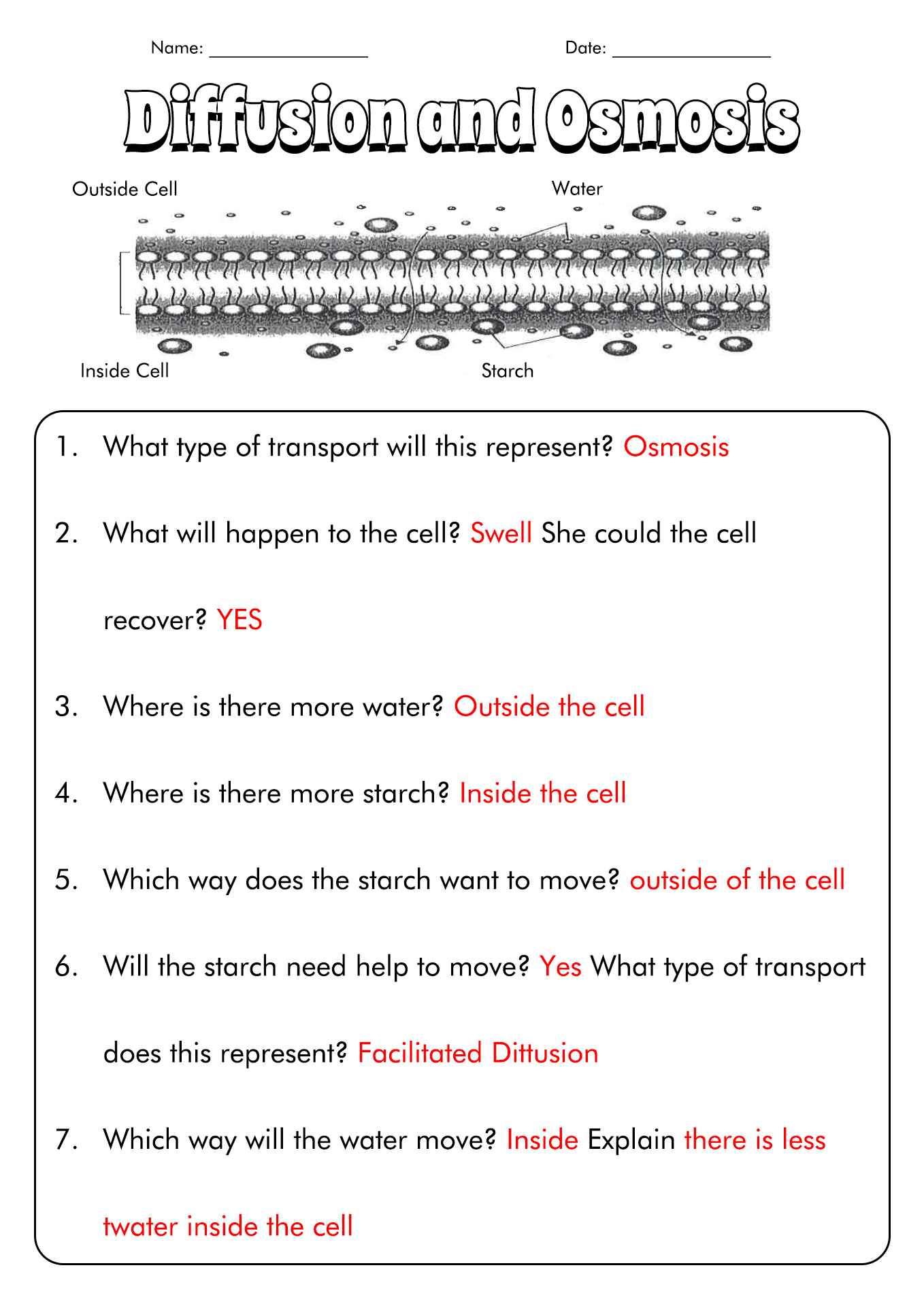 Diffusion And Osmosis Worksheet Enhomemade