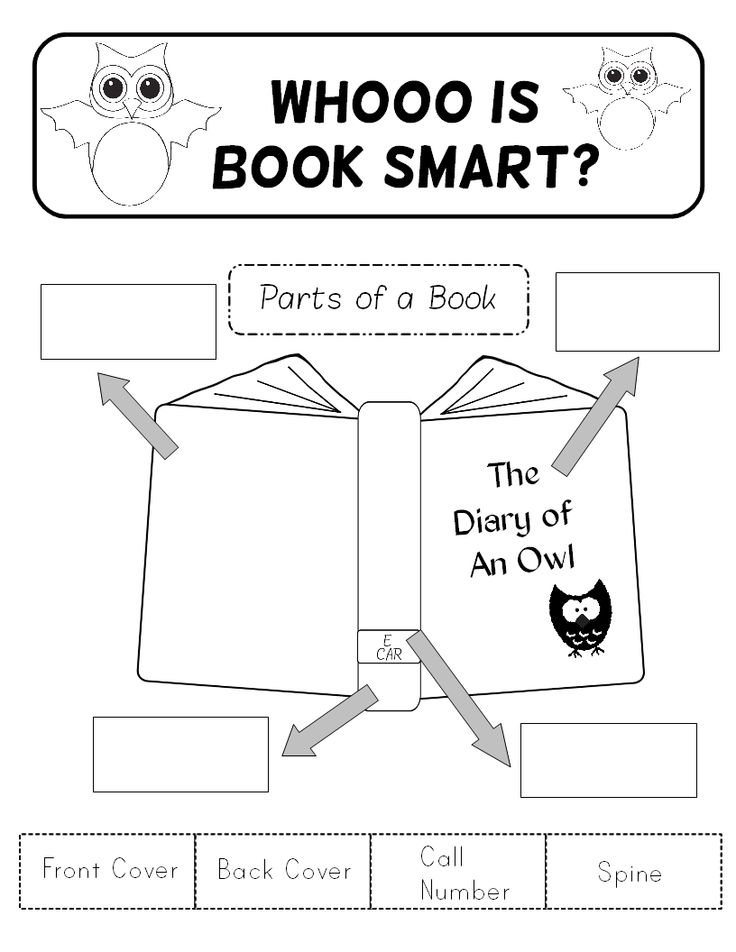 Parts of Book Title Page Worksheet Kindergarten