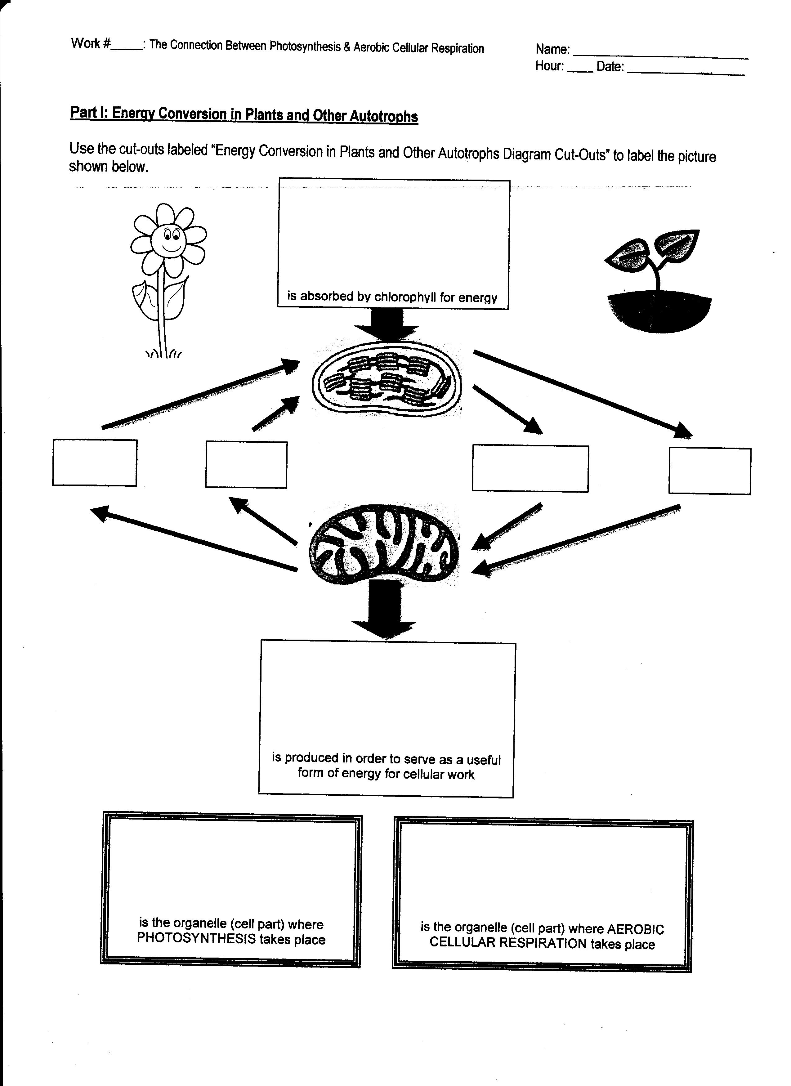 9 Best Images of Work And Energy Worksheet Speed Frequency Wavelength Worksheet Answers 9 Best Images of Work And Energy Worksheet Speed Frequency Wavelength Worksheet Answers