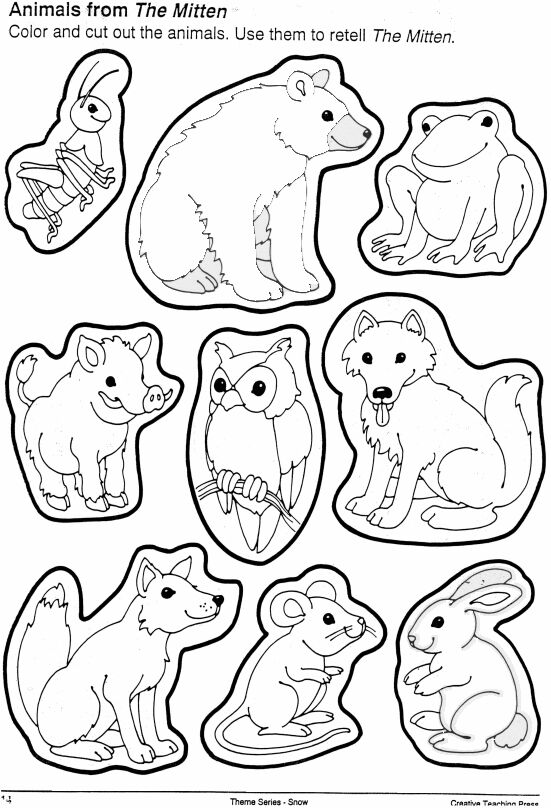 12 Best Images of Where Do Animals Go In The Winter Worksheet Printable