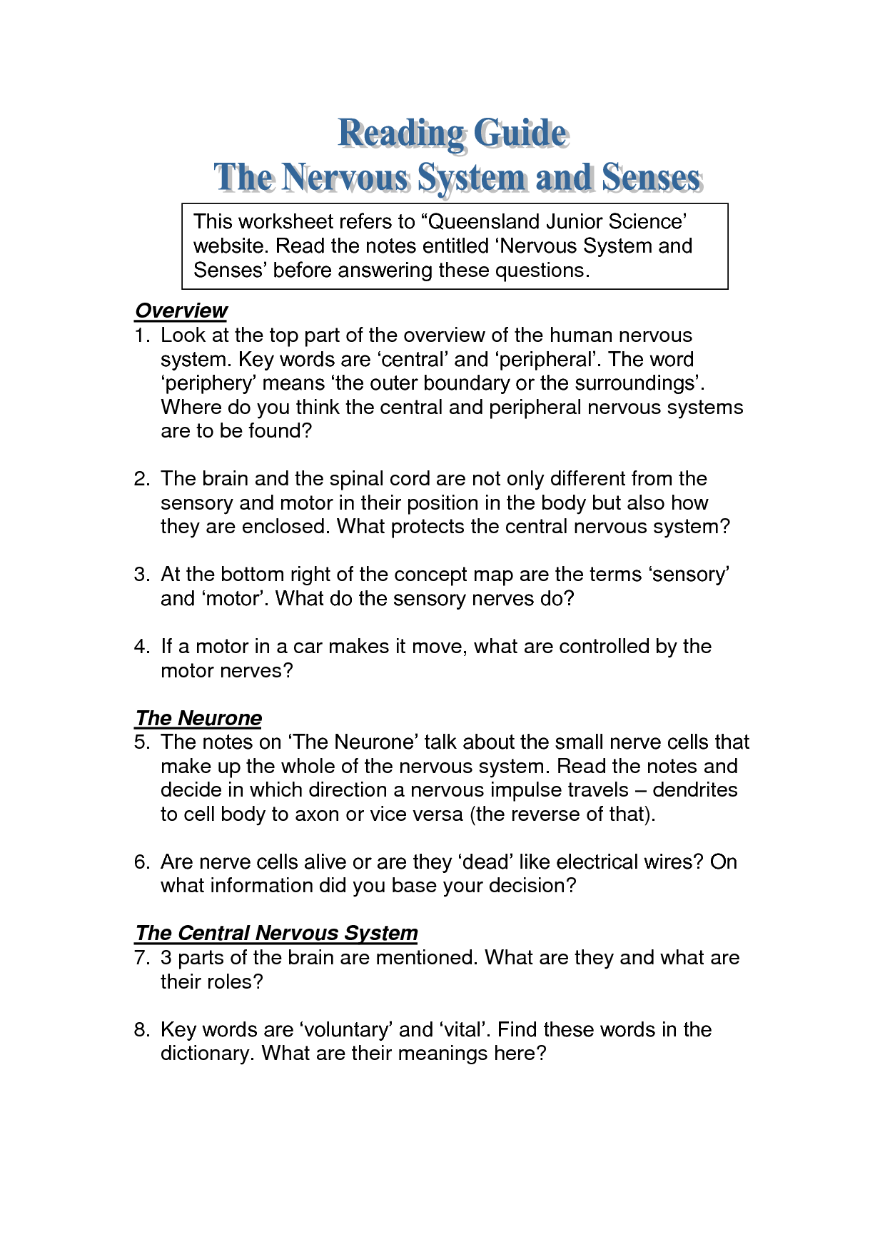 11-best-images-of-nervous-system-worksheet-answers-nervous-system-spinal-cord-diagram-the