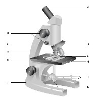 Microscope Parts Quiz Worksheet