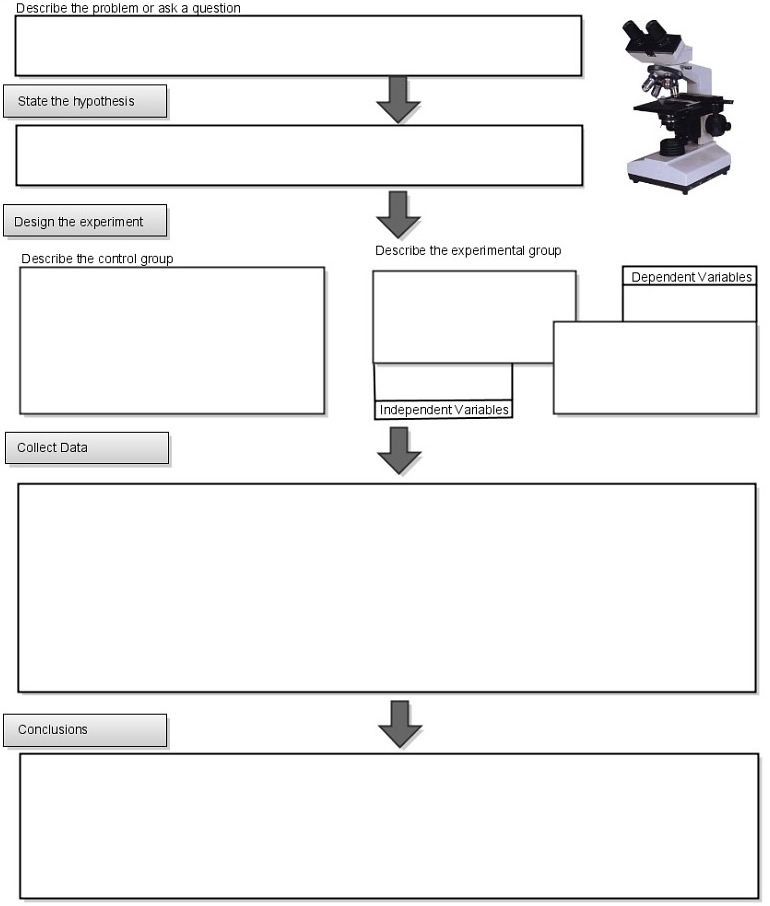 Blank Flow Chart Scientific Method Worksheet