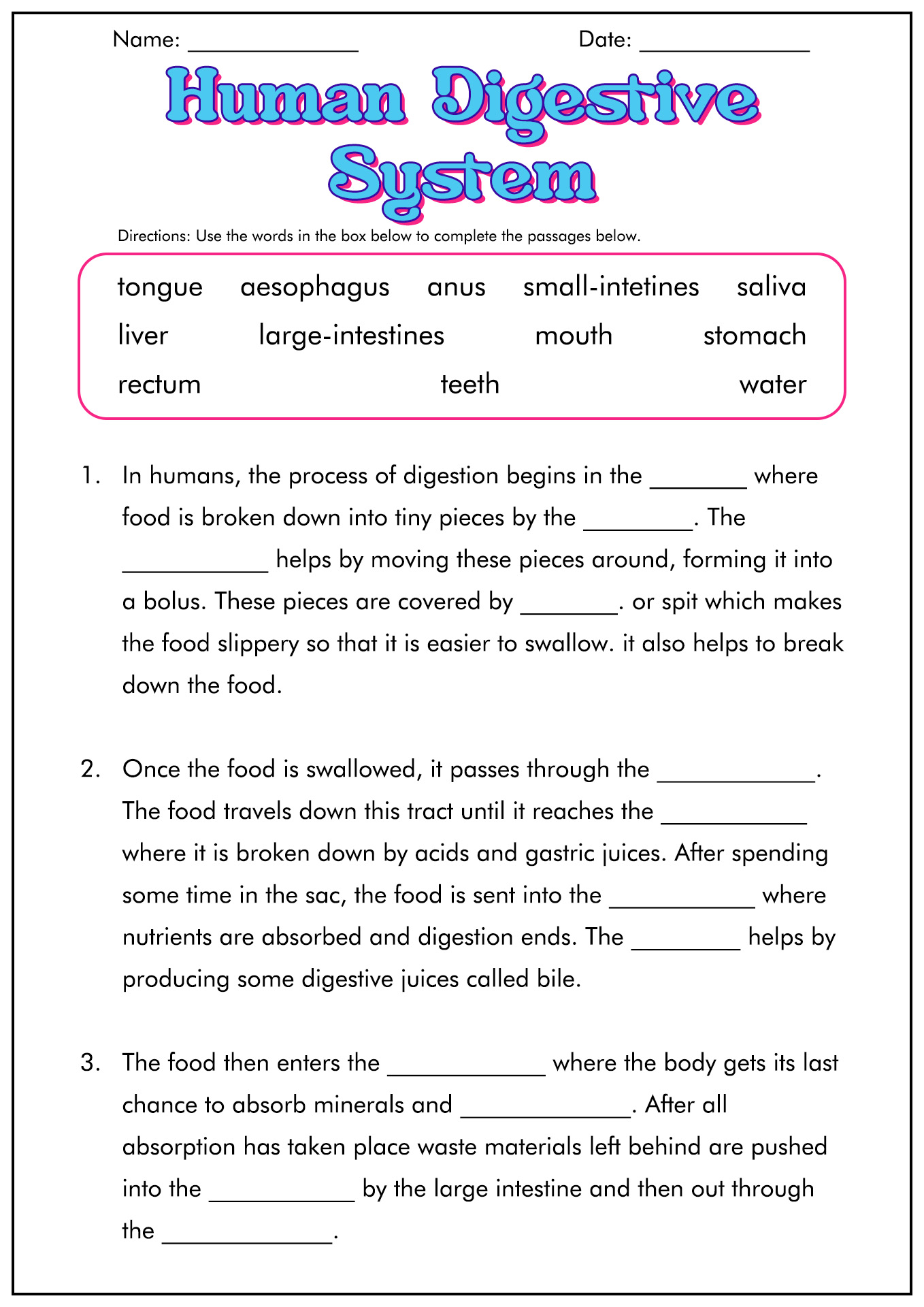 11 Best Images Of Digestive System Worksheet Answer Key Digestive