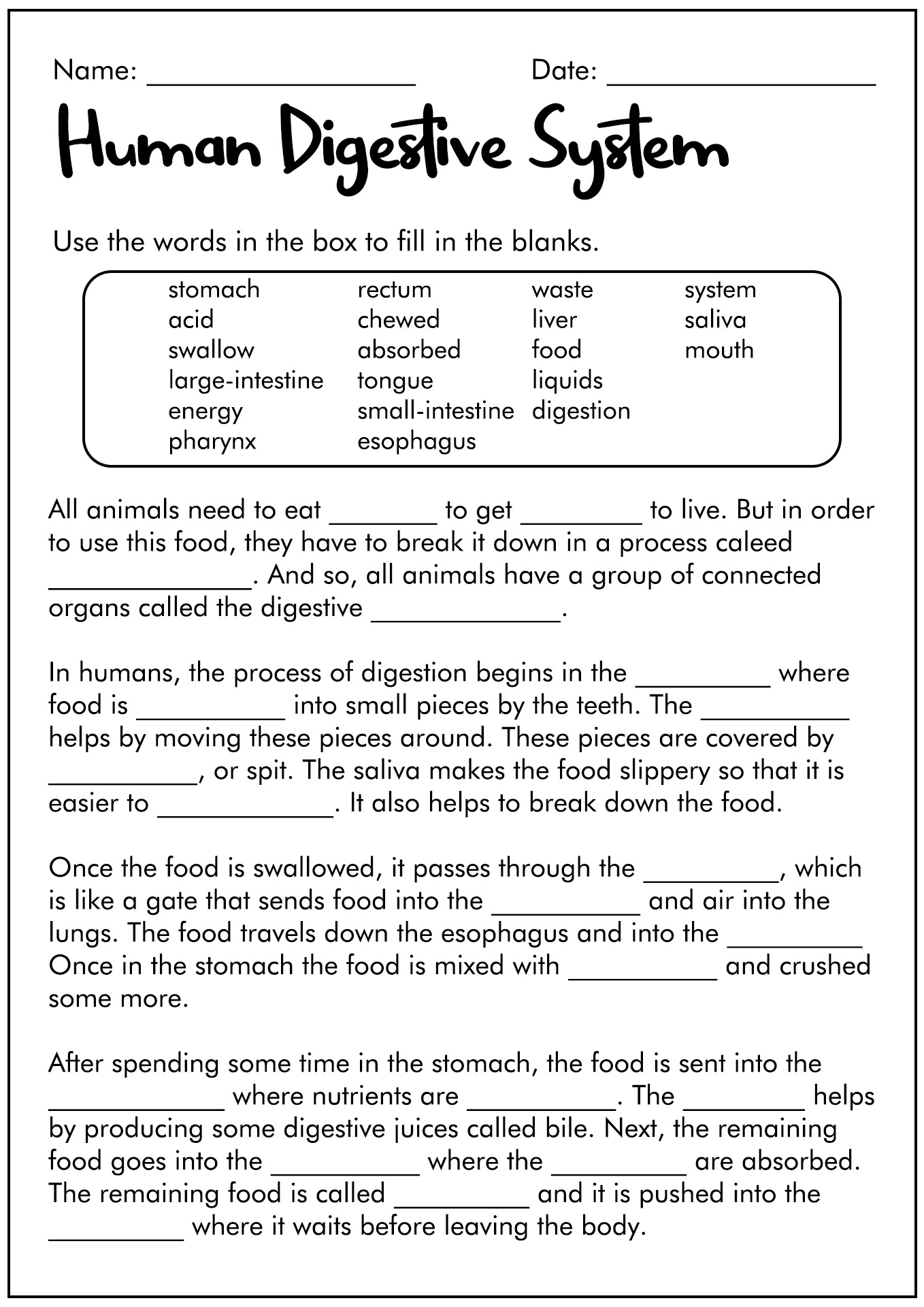 11 Best Images of Digestive System Worksheet Answer Key - Digestive