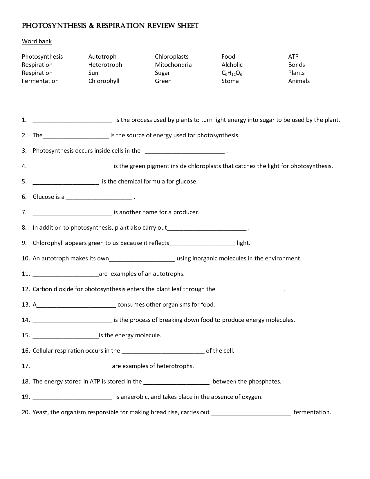 Cellular Respiration Review Worksheet