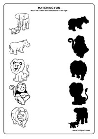 Preschool Shadow Worksheets
