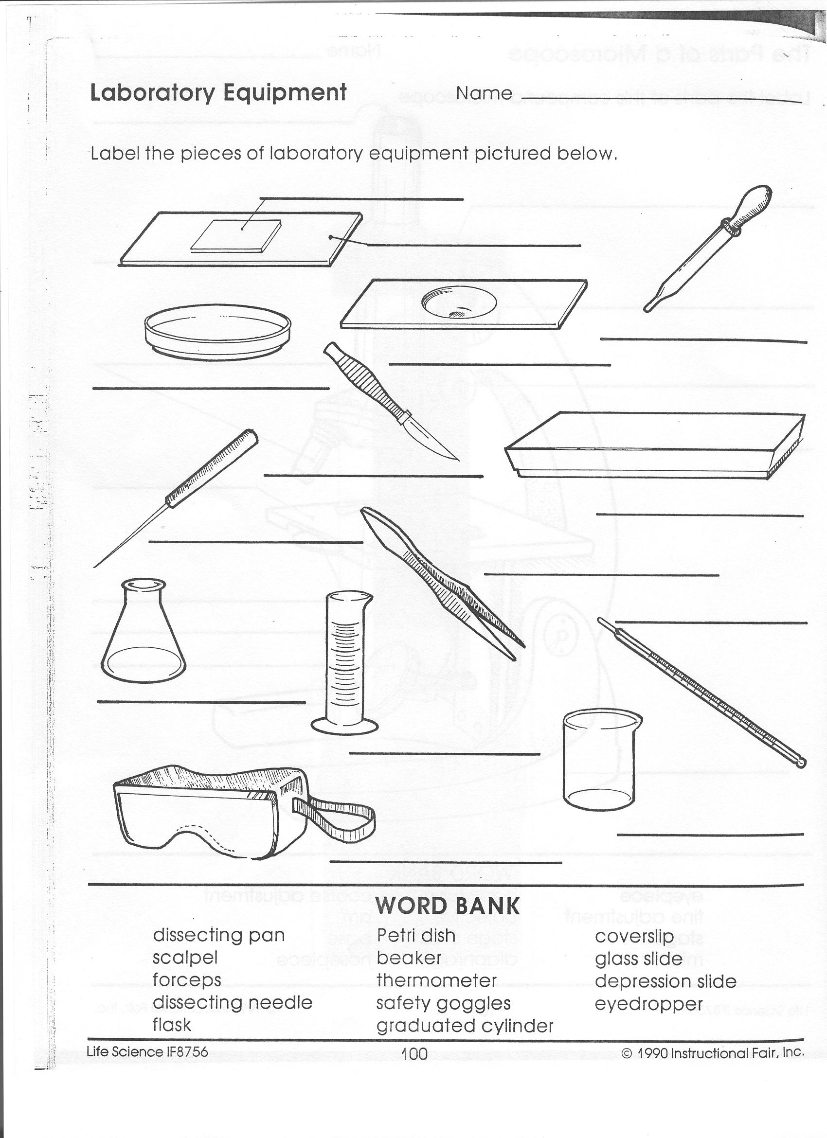 Science Worksheets Respiratory System