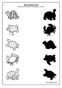 Sea Animals Worksheets for Kids