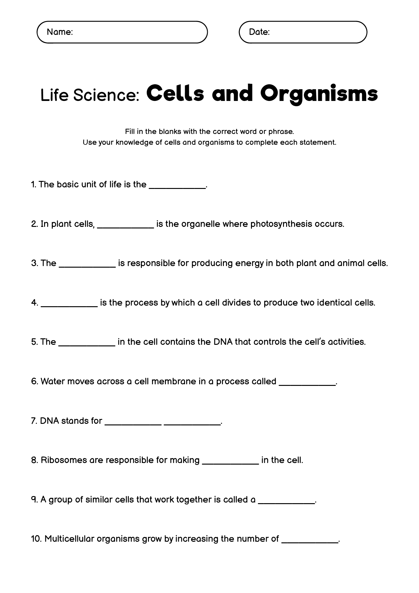 14 Best Images of 7th Grade Biology Worksheets - 7th Grade Life Science