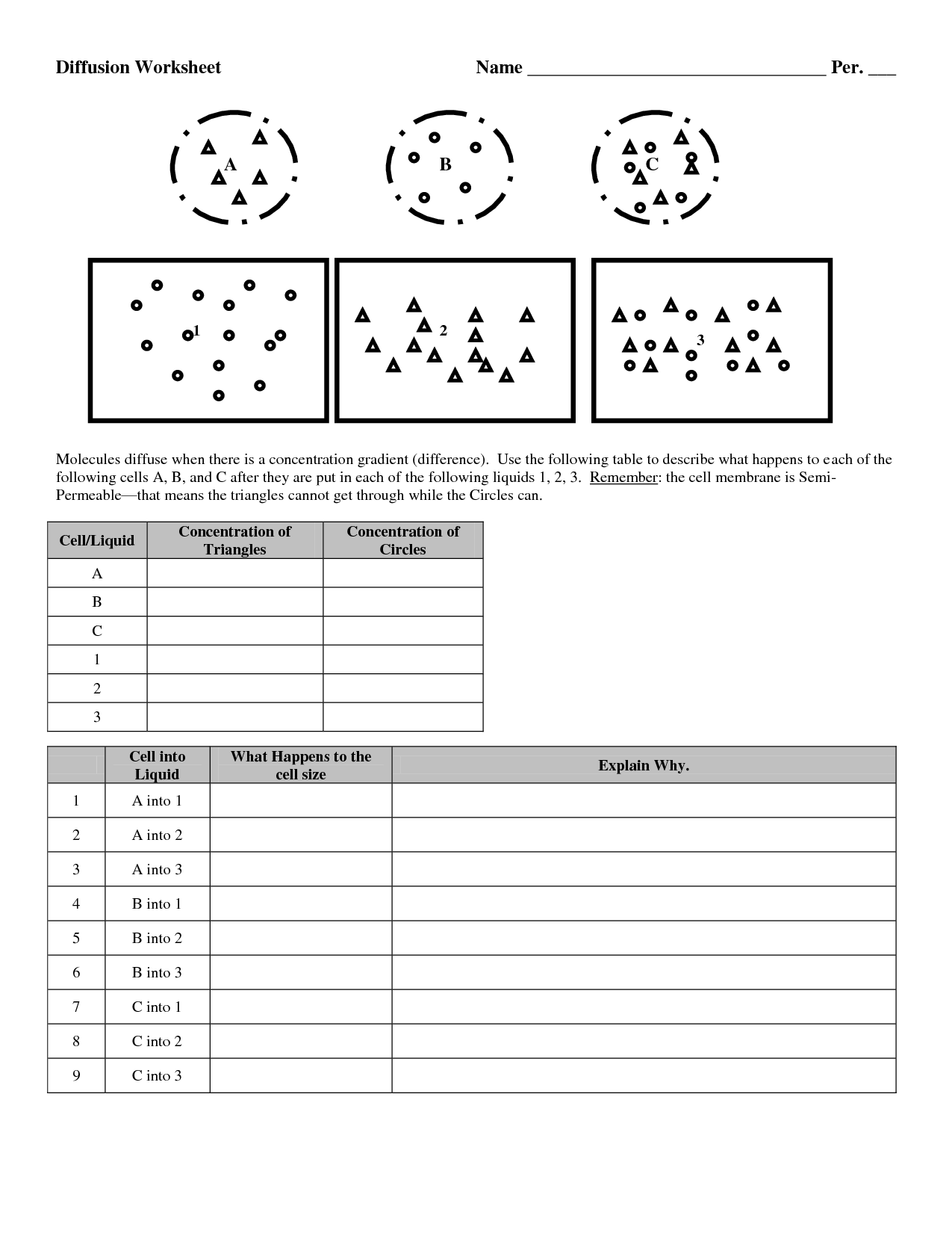 17 Best Images of Active Transport Worksheet Answers  Diffusion and Osmosis Worksheet Answers 