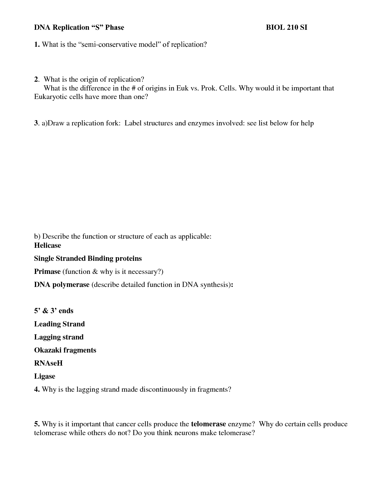 DNA Replication Structure Worksheet
