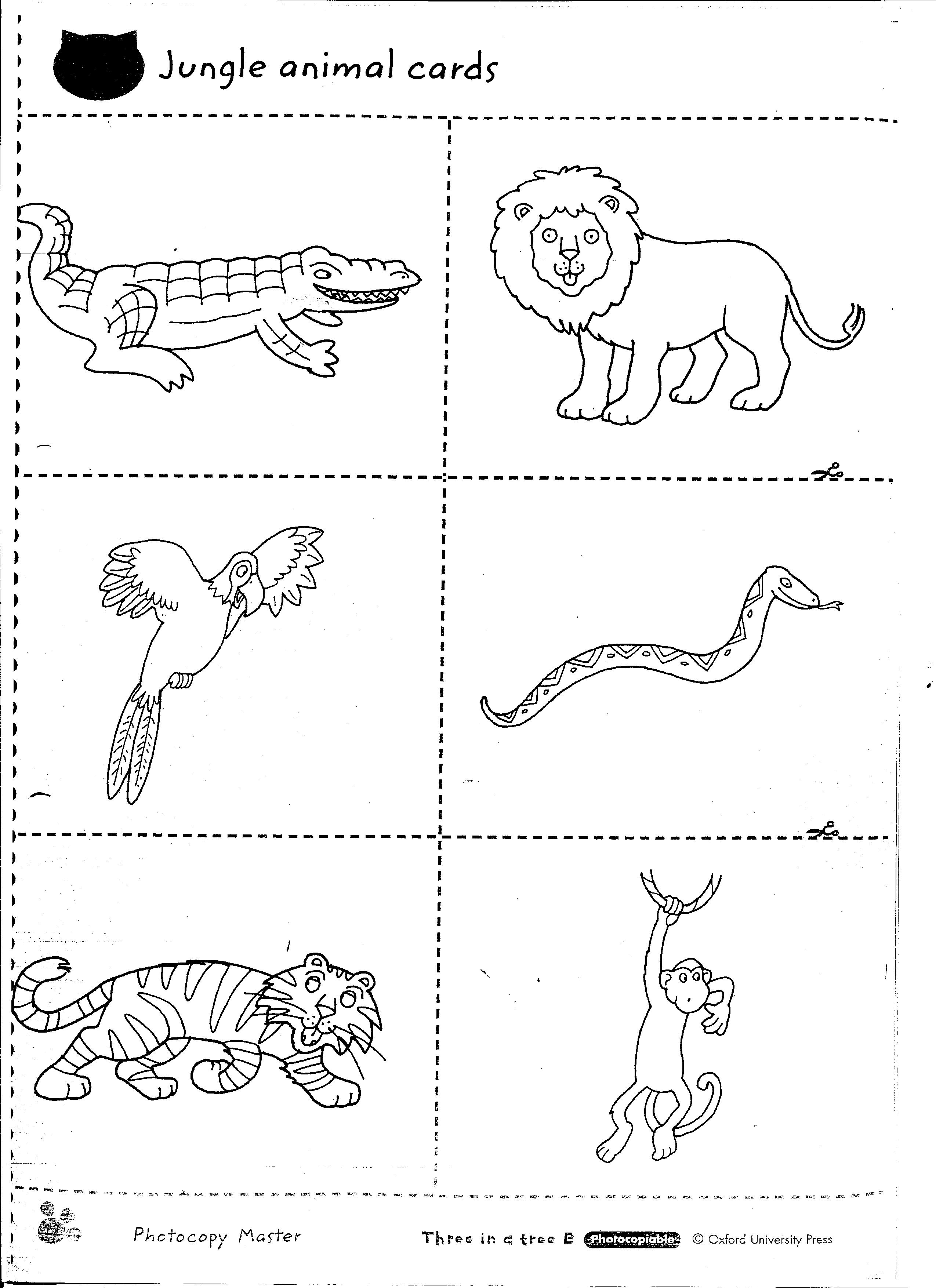jungle worksheets animal forest animals worksheet printable science spanish plants kindergarten grade 1st worksheeto coloring months via