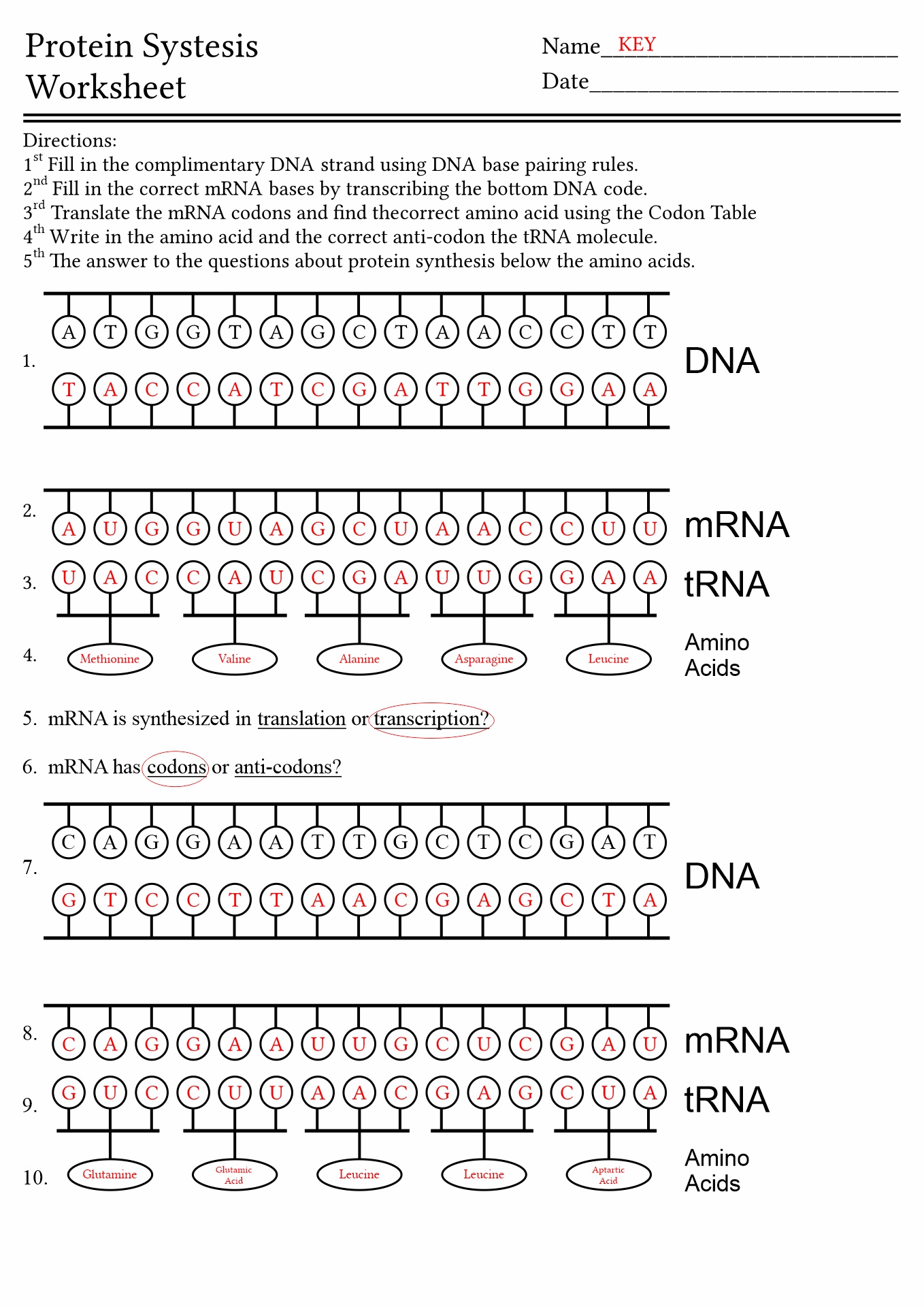 Dna And Protein Synthesis Worksheet