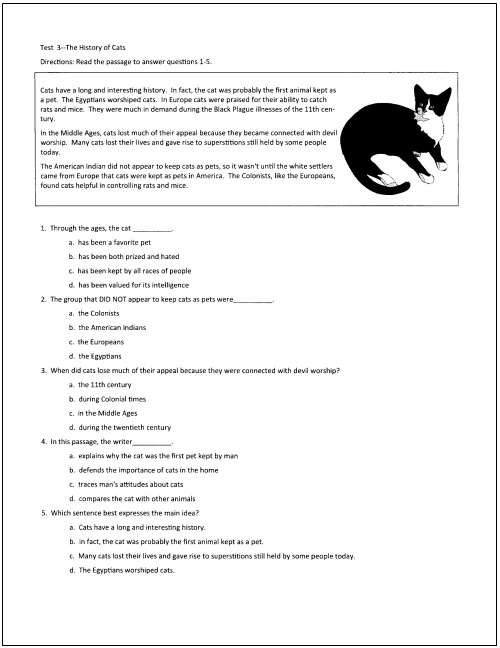 Reading Comprehension Test Questions