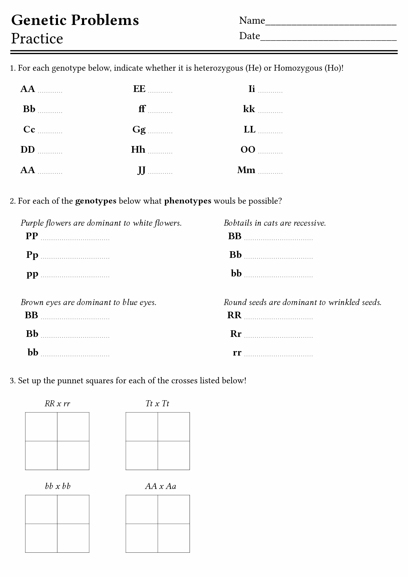 13 Best Images of DNA Code Worksheet - Protein Synthesis Worksheet