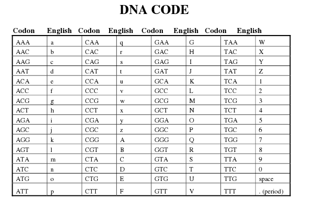 8 Best Images of DNA Code Codon Worksheet - DNA Transcription and