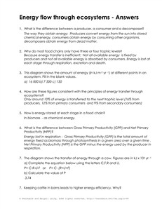 13 Best Images of Energy Pyramid Worksheet Answer Key - Ecological