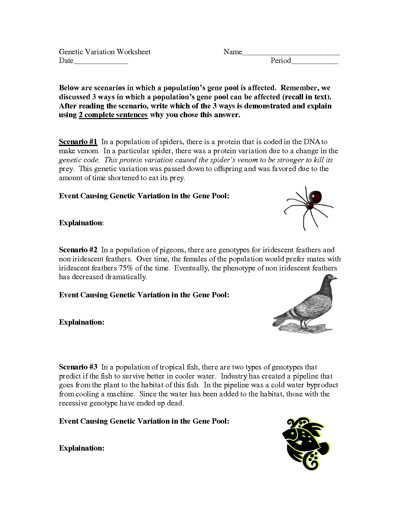 Genetic Mutations Worksheet Answer Key