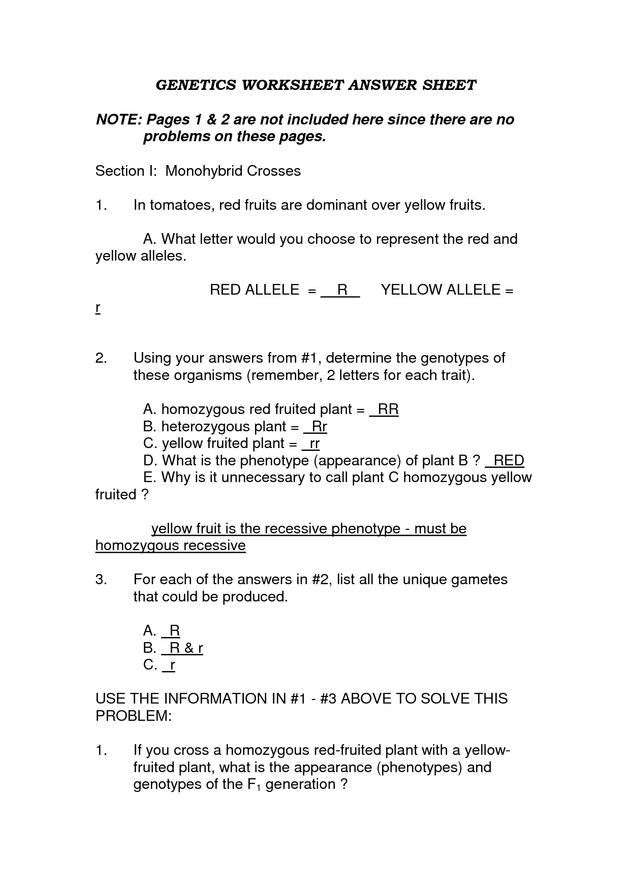 Genetic Crosses Worksheet Answer Key