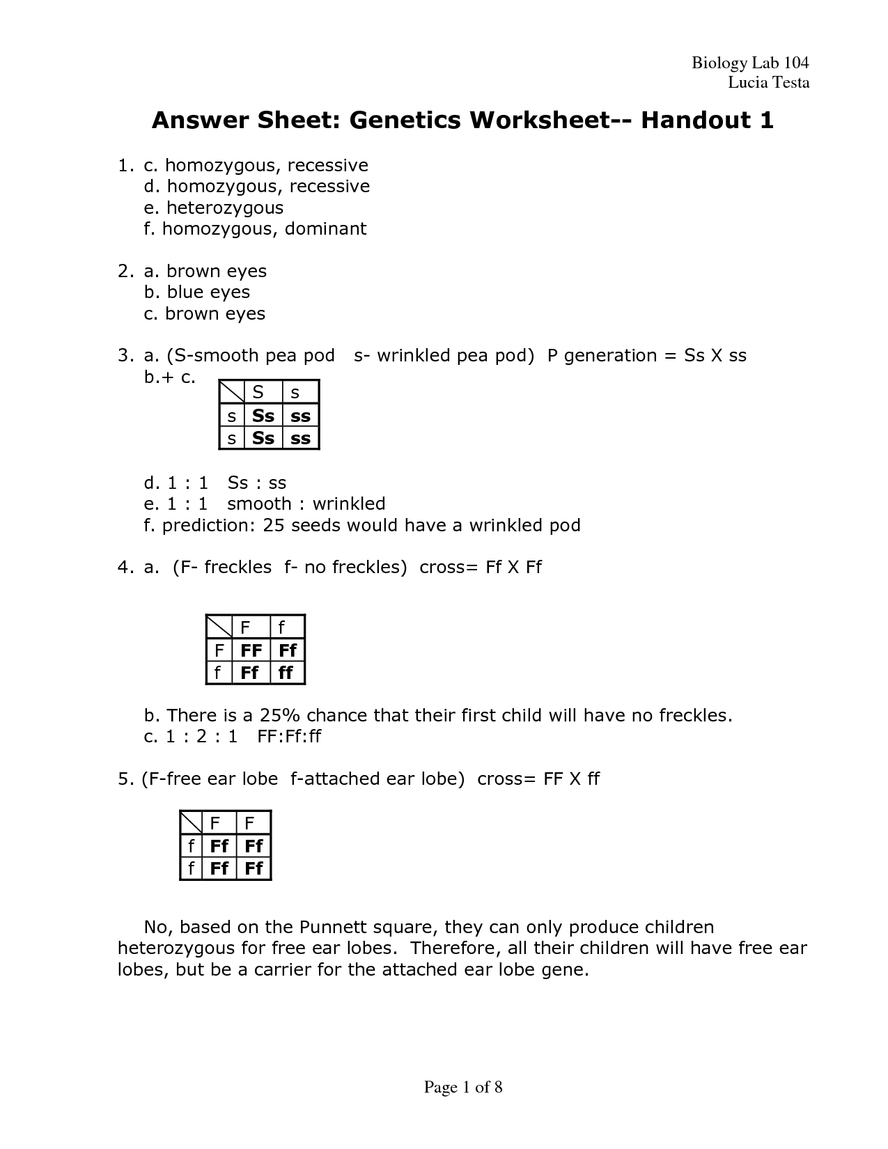 Genetics Worksheet Answer Key