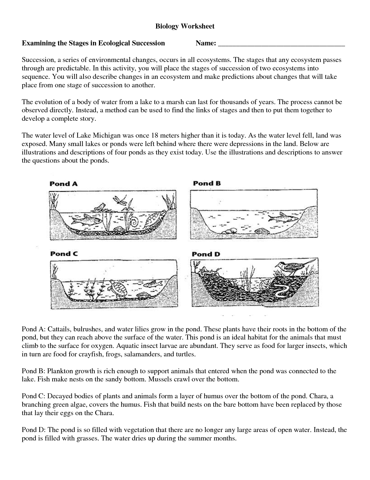 11 Best Images of Ecosystem Worksheets For Middle School - Ecological