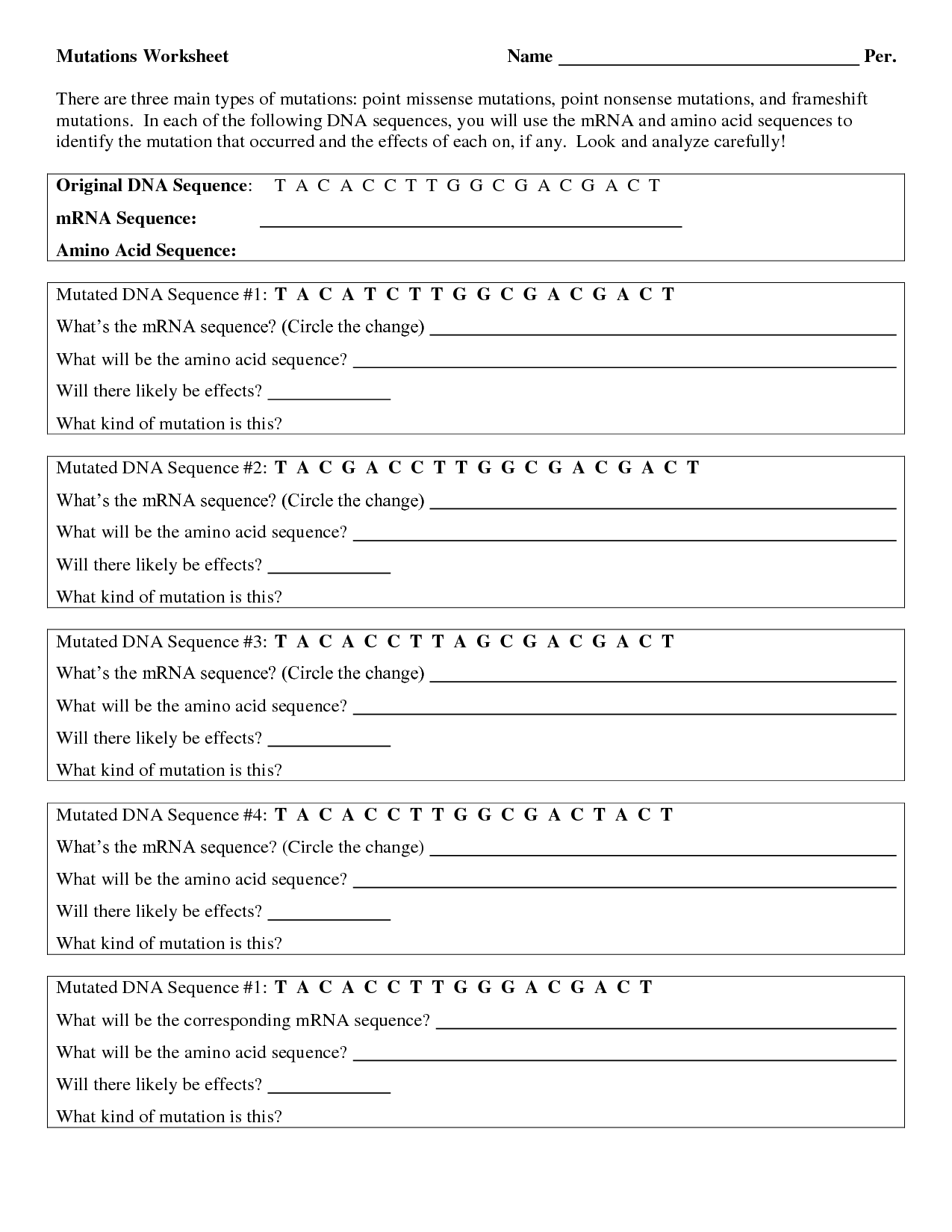 Genetic Mutations Worksheet Answer Key