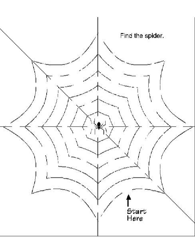 10 Best Images of Spider Web Printable Worksheets - Preschool Printable