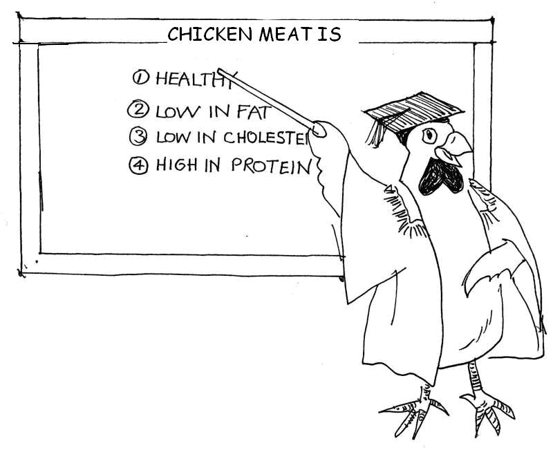 Chicken Development Worksheet