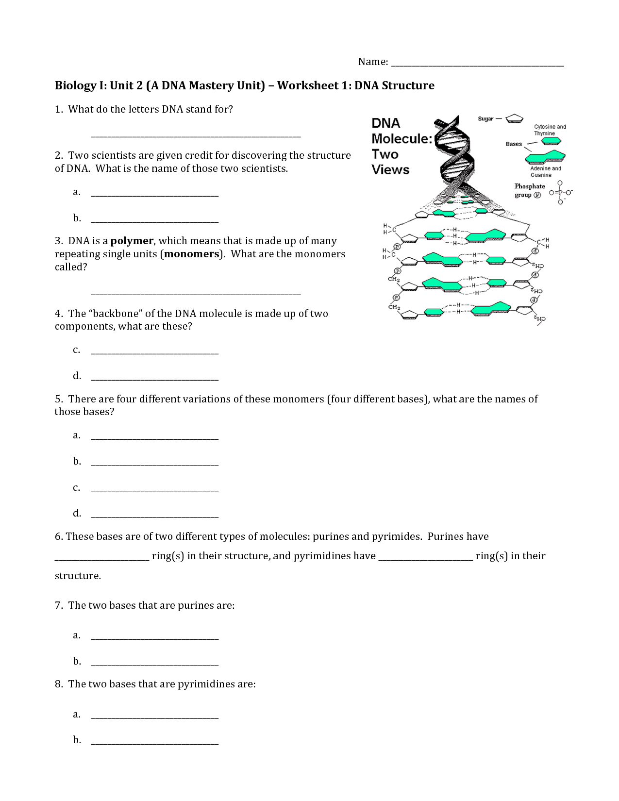 Dna Structure And Replication Worksheet