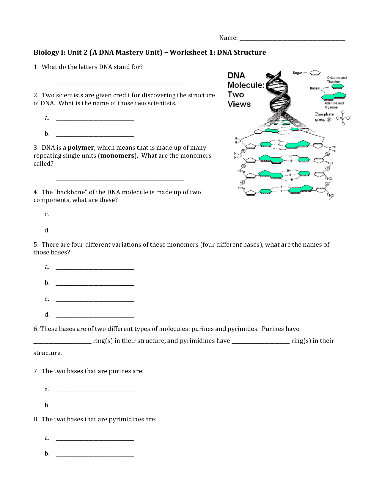  Concept Covered Dna Structure Worksheet Free Download Qstion co